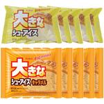 [冷凍]アンド栄光 大きなシューアイス バニラ×キャラメル2種セット (各5個) アンド栄光