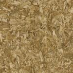 エミネンスタイル2025-2028 OSB シンコール