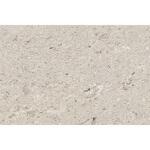 RS-3173 エミネンスタイル2025-2028 アウリジノ シンコール