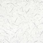 エミネンスタイル2025-2028 ネロマルキーナ シンコール