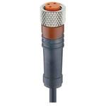 934636894 RKMV 3-426/5 M センサアクチュエータケーブル コア数：3 RKMVシリーズ Lumberg Automation