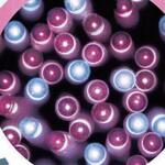 8162-2592 冬装飾 クリスマスツリー飾り イルミネーション LEDトレートライト(連結可) ストア・エキスプレス