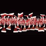 冬装飾 クリスマス用品 クリスマスモチーフモール 270cm ストア・エキスプレス