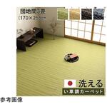 1090031060302 洗える カーペット ラグ 国産 除菌スプレー対応 アウトドア ペット イケヒコ・コーポレーション