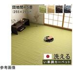 1090031190402 洗える カーペット ラグ 国産 除菌スプレー対応 アウトドア ペット イケヒコ・コーポレーション