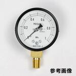 AA10-171 普通形圧力計(Φ60)立形A枠 AA10-171シリーズ 長野計器