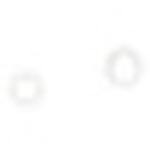 The hangers ランドリーハンガー52P シービージャパン