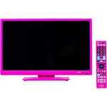 B-19DG10P 19型BS/CS内蔵液晶テレビ(地デジ裏録対応) 1台 オリオン