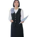 ENJOY EAV951 CLASSICA ベスト カーシーカシマ