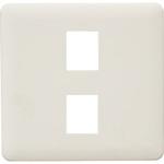 2ピースコンセントプレート 2連用 神保電器