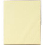 2つ折り色紙 奉書 小 マルアイ