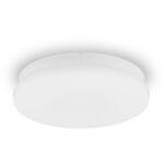 小型シーリングライト 薄形 昼白色 アイリスオーヤマ