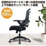 ランバーサポートメッシュチェア/ブラック ナカバヤシ
