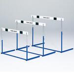 ハードルピン式1 トーエイライト