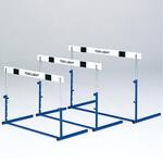 ハードルクラッチ式1 トーエイライト