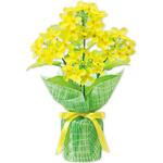 SV1-0005 菜の花バリューラッピングポット アルファ[販促]