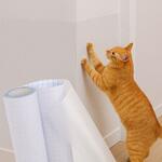 壁保護シート シールタイプ アストロ