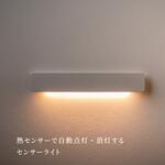 かげあかり01 むさし