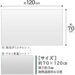 821-92F アルミ蒸着 保温・保冷シート アストロ