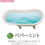 入浴剤 ペパーミント クリアタイプ15kg 北陸化成