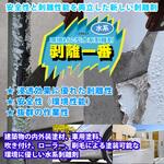 水系 剥離一番 PROST's