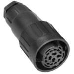 C01610D0140031 DINコネクタ 14極 メス ケーブルマウント 1袋 50個入 AMPHENOL