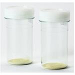 5593 ECブルー 100 100mL×80本入 島津ダイアグノスティクス