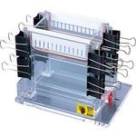 垂直型電気泳動装置 ケニス