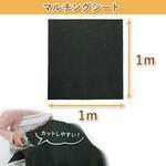 防草シート アストロ