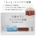 羽毛布団保管袋 持ち手付(ブラウン)2枚組 アストロ