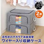 620-19 WIREDcase消臭炭入衣類整理用2個組 アストロ