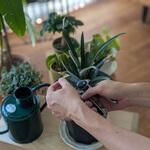 Eversharp Garden Snips 多用途小型剪定ばさみ Kent & Stowe