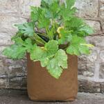 Hemp Fibre Pot 麻製 鉢カバー5L/20L/30L/40L Haxnicks