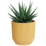 Vibes Fold Pot 9cm リサイクルプラスチック製ポット elho