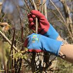 Kids Budding Gardener Gloves 子供用 滑り止めガーデニング グローブ Kent & Stowe