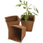 Fibre Pot Square ファイバーポット 四角 8cm×12個入り Gardland