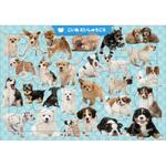 C06 こいぬ だいしゅうごう 50ピース 永岡書店