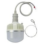 AC100-200V/80W/電球/LED ソケット一体型 エスコ