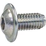 フランジボタンキャップ(鉄/三価白)(小箱) 池田金属工業