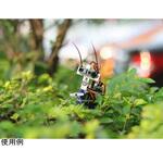 110990448 Insect bot Seeed Studio
