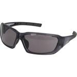 TRAVELISTサングラス 曇り止めレンズ Hug Ozawa