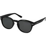 TRAVELISTサングラス 偏光レンズ Hug Ozawa