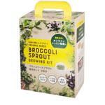 栽培キット2回分 グリーンフィールドプロジェクト