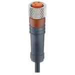 43973 RKMV 3-224/3 M センサアクチュエータケーブル コア数：3 RKMVシリーズ Lumberg Automation