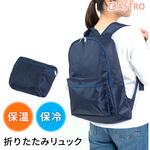 コンパクトになる保冷保温エコリュック アストロ