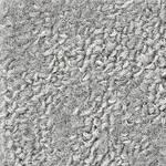 NT700 カーペットタイル NTH-820 F-eco グローラスF サンゲツ