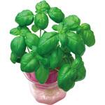 バジル 0.5mL 小袋 アーテック[学校教材・教育玩具]