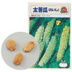 野菜の種 ツルレイシ 苦瓜 アーテック