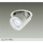 LEDダウンライト DAIKO(大光電機)