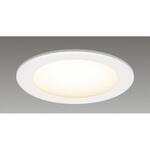 LEDD-28905 ダウンライトE26軒下 東芝ライテック